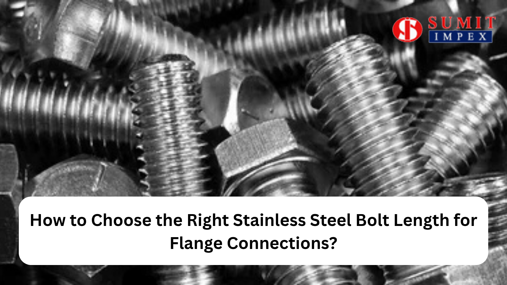 Stainless Steel Bolt